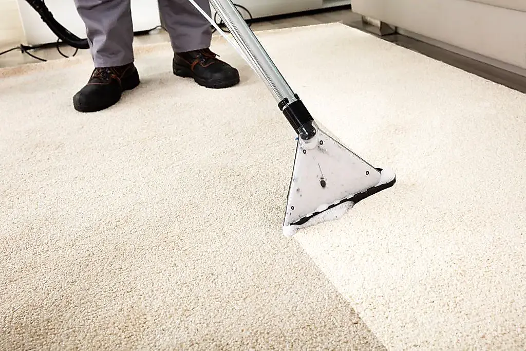 Person Cleaning Carpet With Vacuum Cleaner Residential Carpet Cleaning