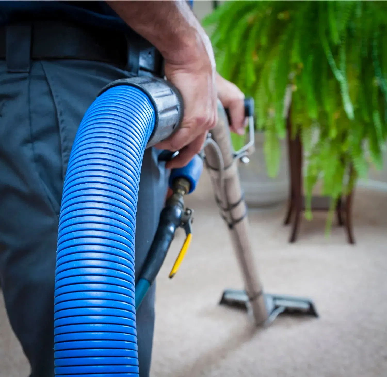 carpet-cleanears-perth Carpet Cleaning Perth