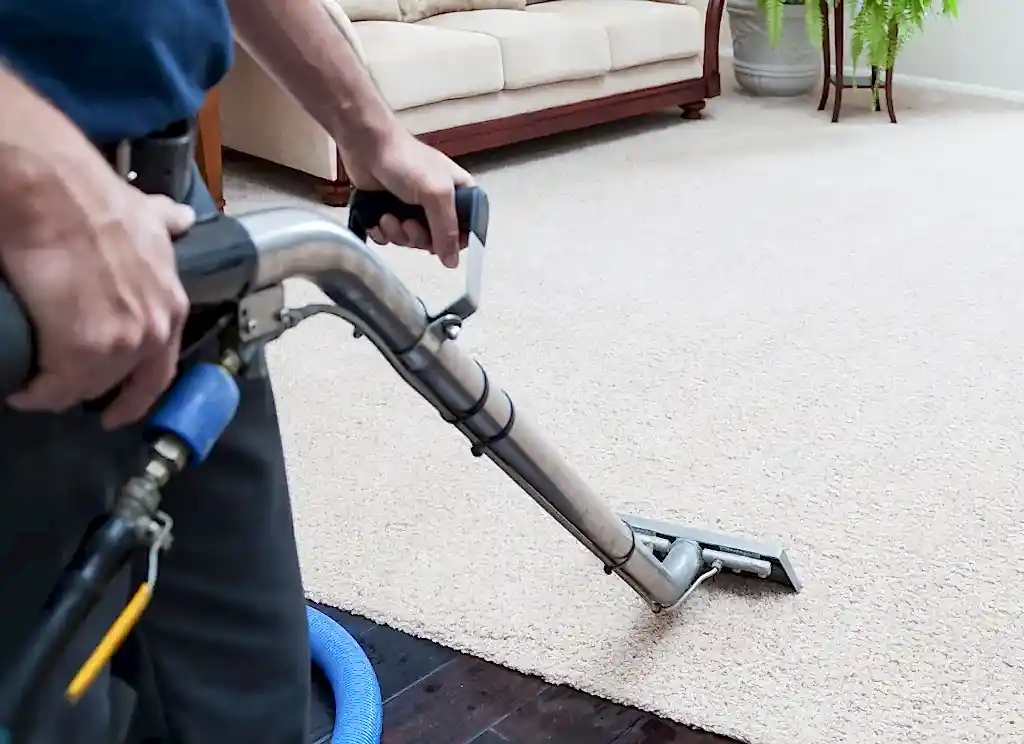 rug-cleaners-perth