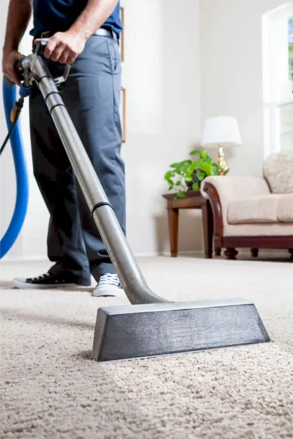 rug-cleaning-perth Book Carpet Cleaning Online