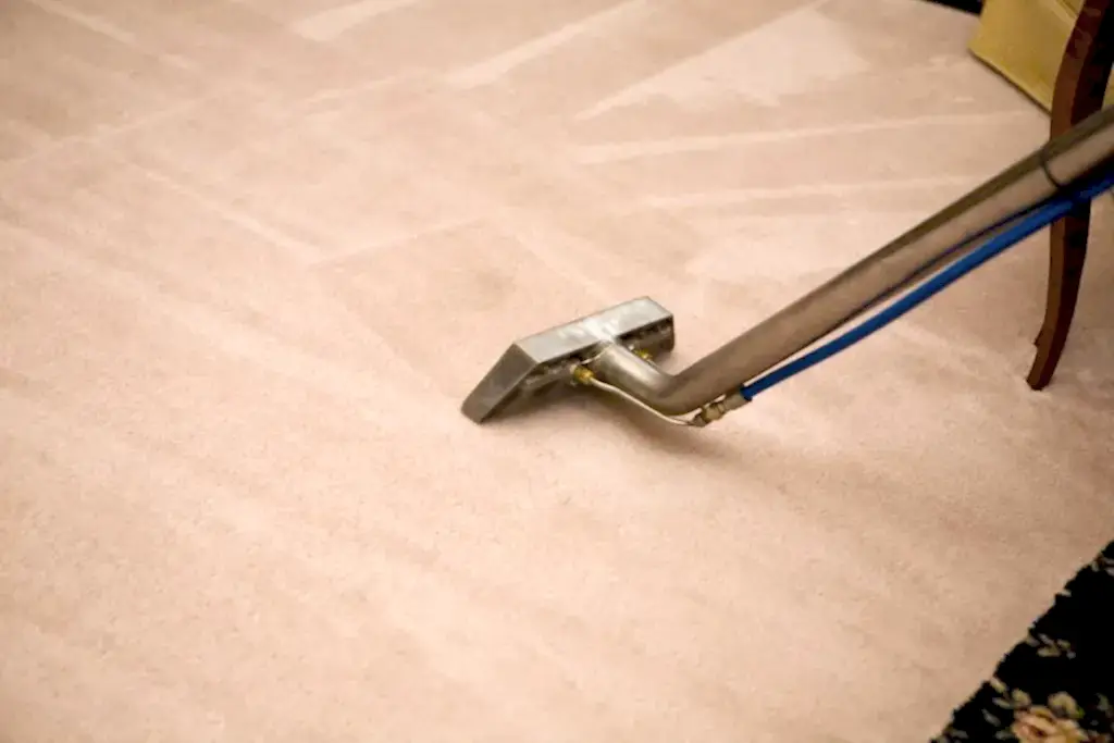 vacate-carpet-cleaning